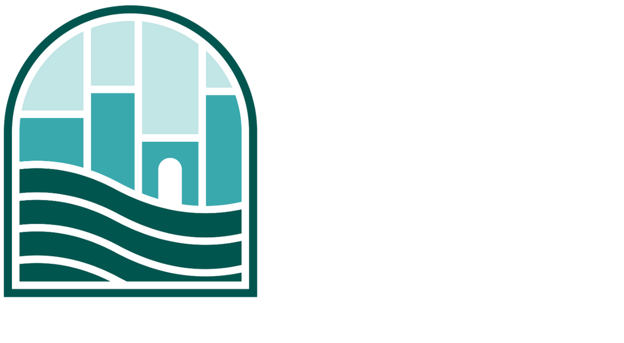 Plaza District Council